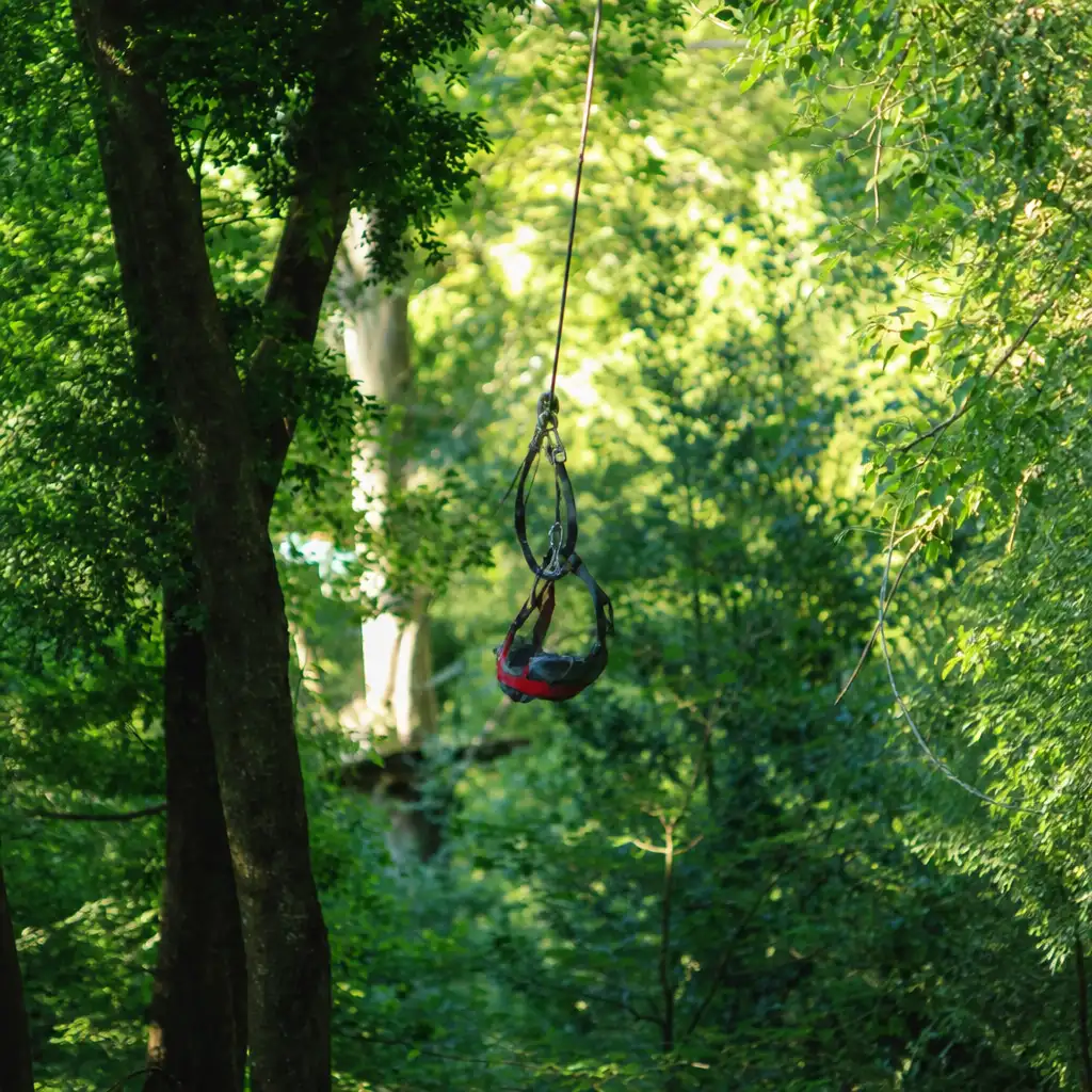 Treetops Adventure: Belgrave Park
