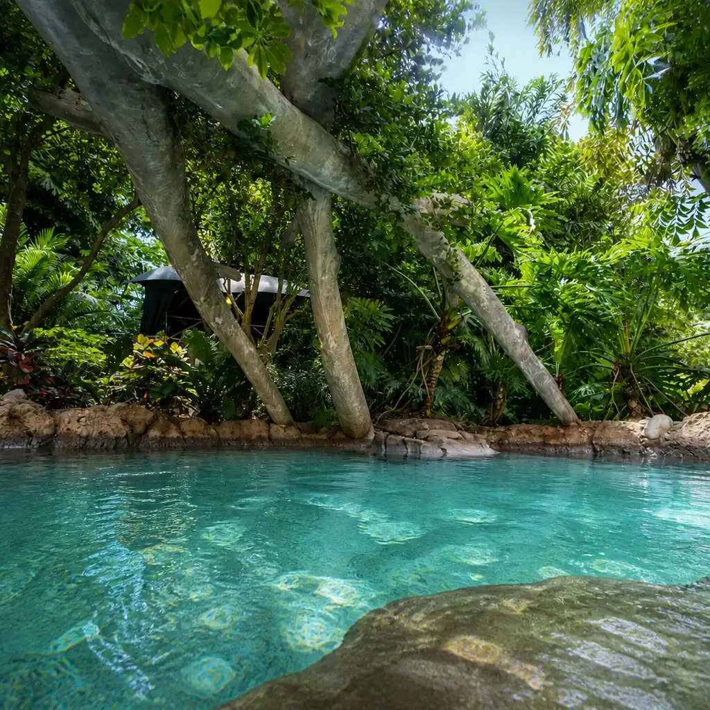 Discovery Cove: Entry Ticket