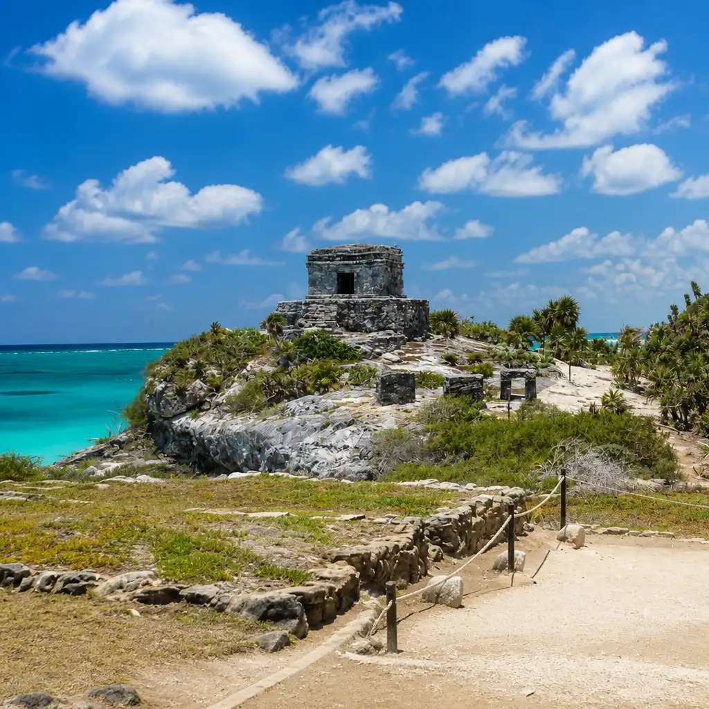 Tulum: Snorkeling with Turtles in Akumal + Mariposa Cenote + Lunch + Transfer