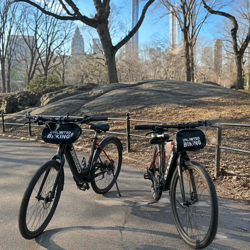 New York City: Electric Bike Rental