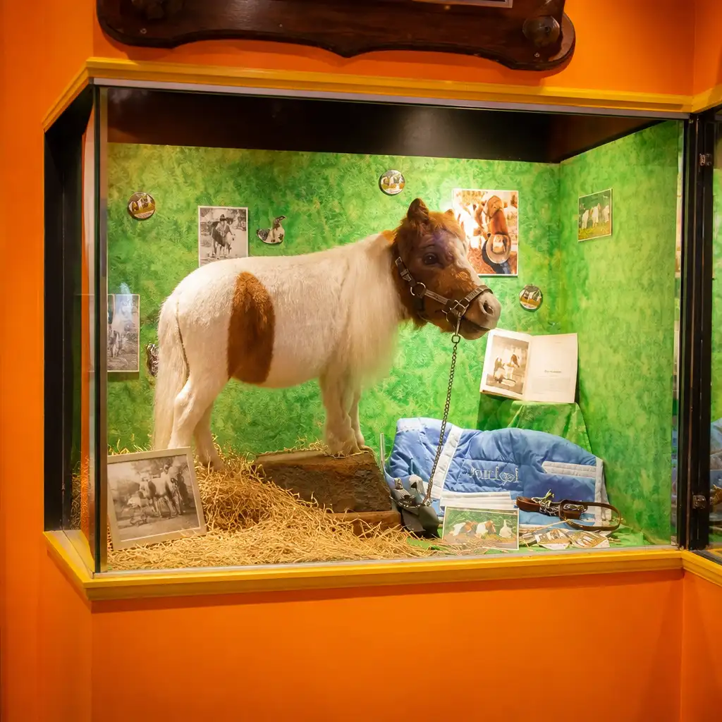 Ripley's Believe It or Not! Panama City Beach: 3 Attractions Combo Ticket