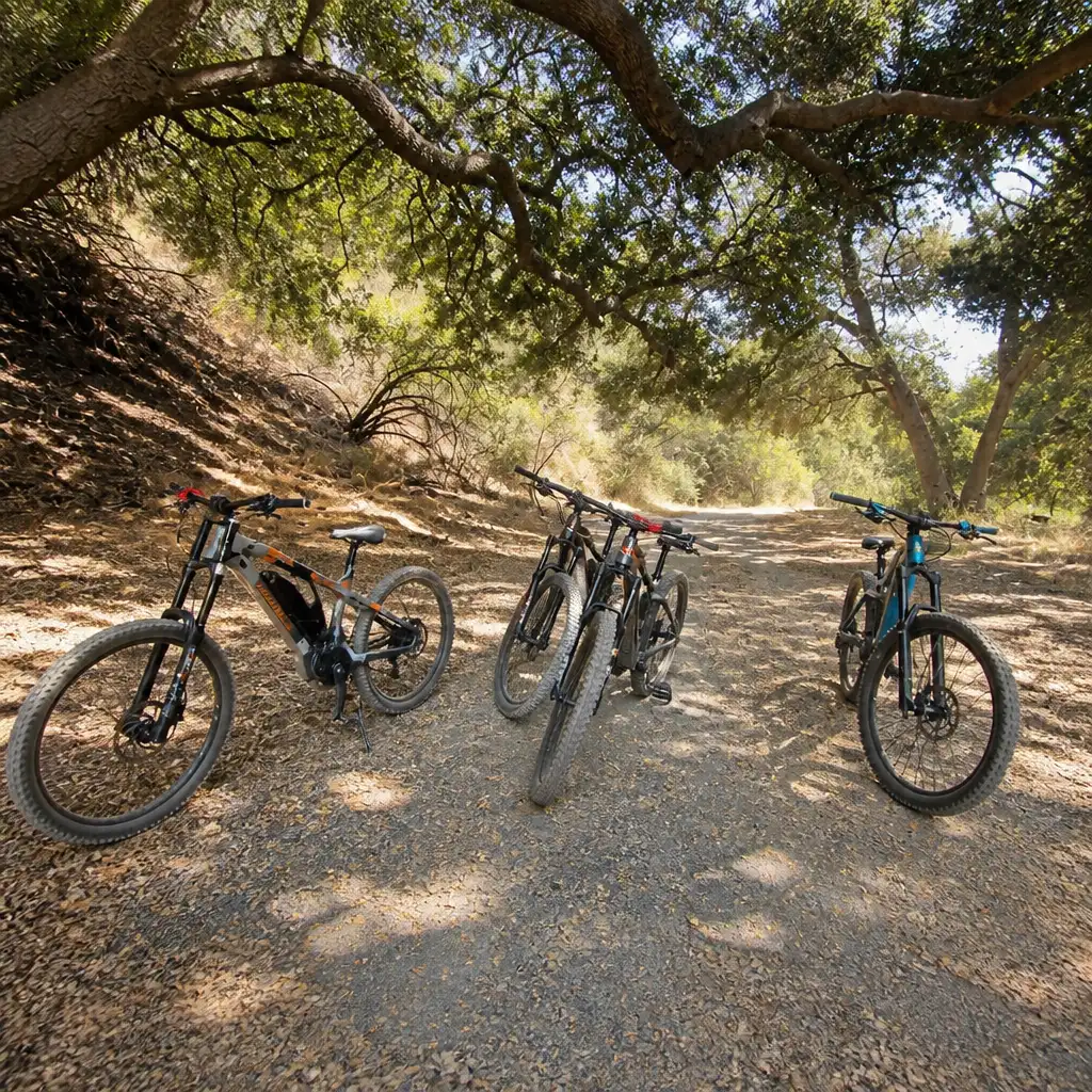 Los Angeles: Pacific Palisades Beginner Level Electric Mountain Bike Tour
