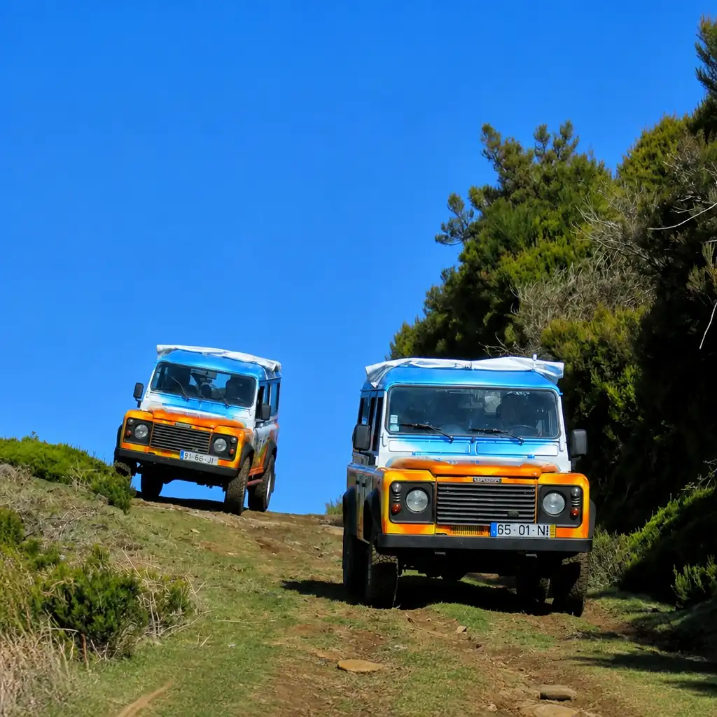 Madeira: Guided Open-Top 4X4 Jeep Tour