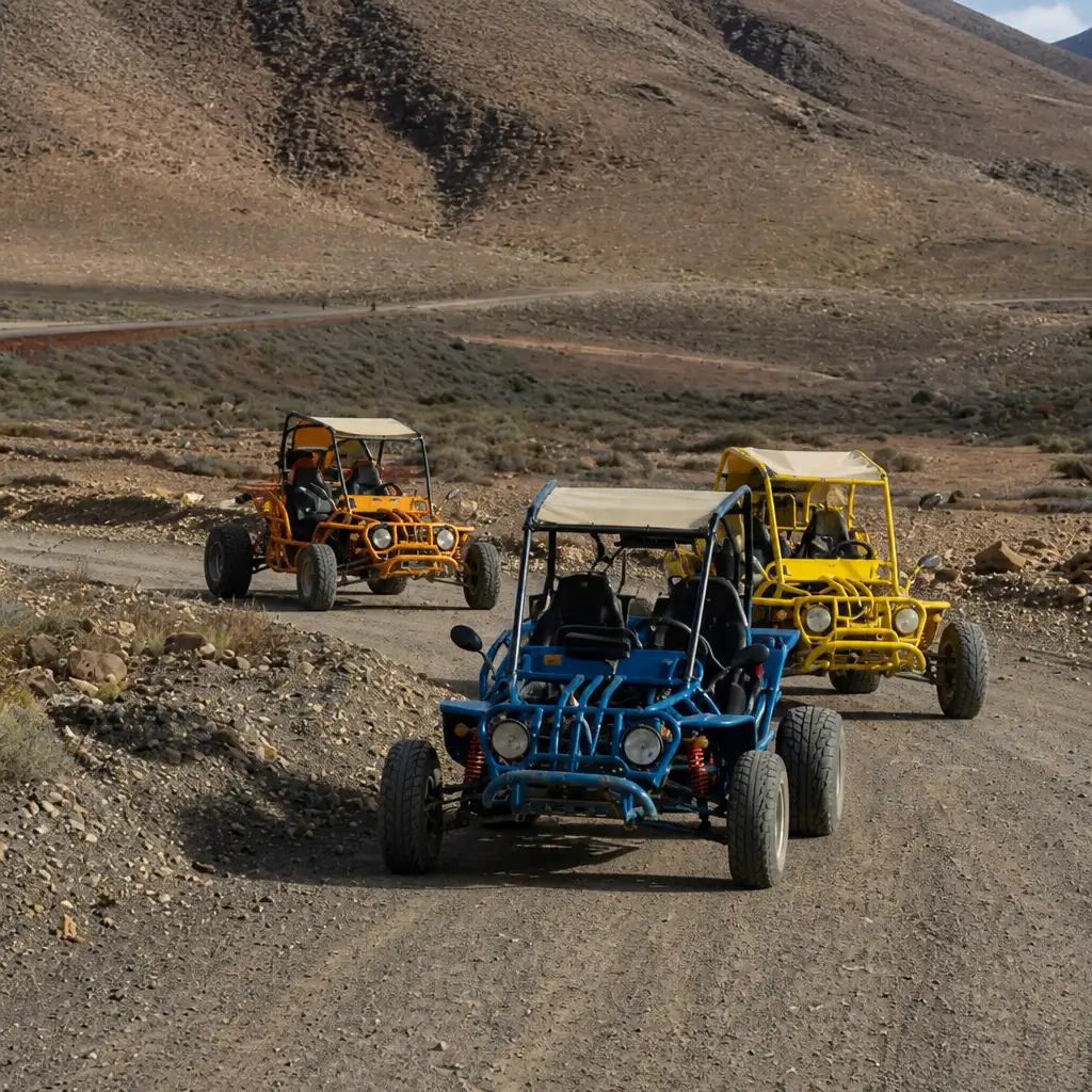 Fuerteventura: Guided Buggy Tour + Hotel Pickup