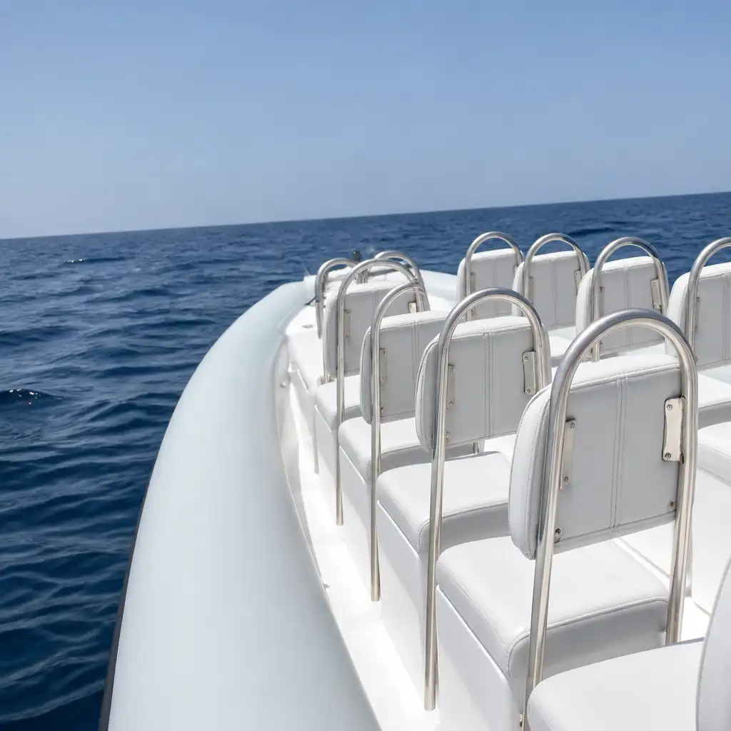 Fuerteventura: 1.5-Hr Dolphin Watching Cruise + Hotel Pickup