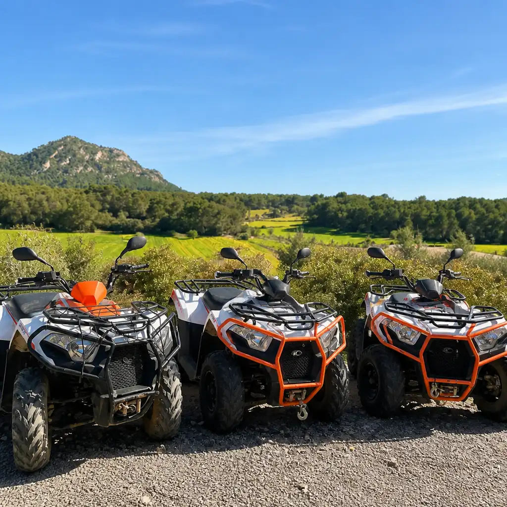 Mallorca: Guided Quad Bike Tour + Snorkeling + Cliff Jumping