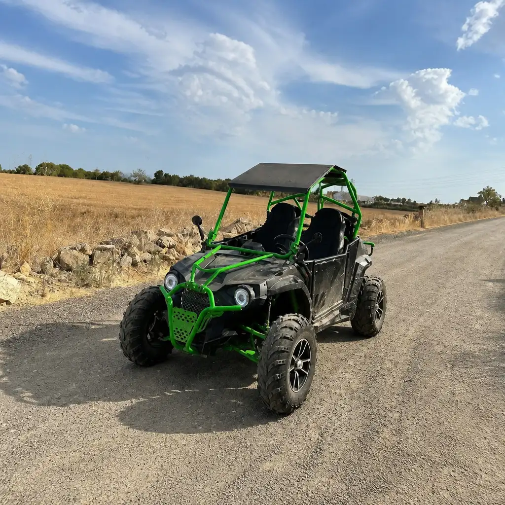 Palma de Mallorca: Buggy Tour + Optional Swim Stop