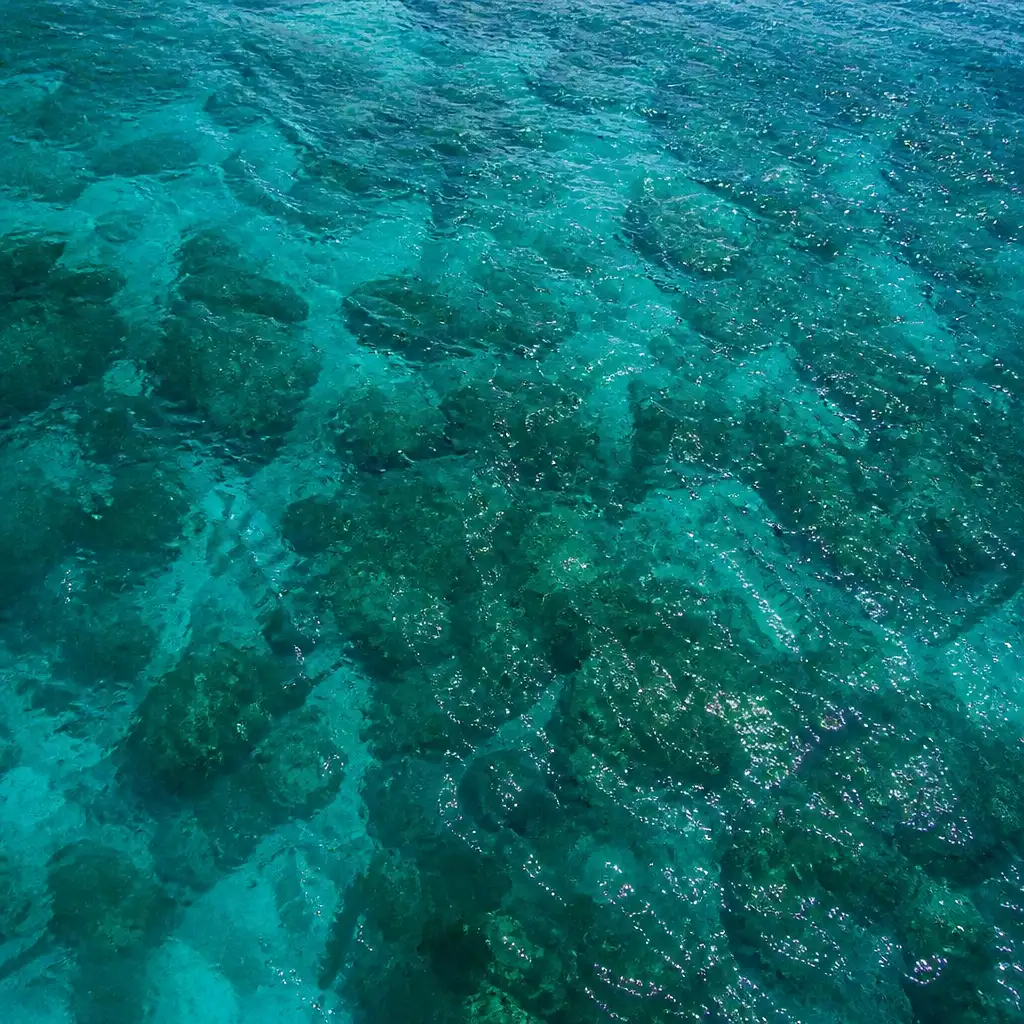 KUZÁ Beach & Adventure Park: Deluxe Pass + Guided Snorkeling + El Cielito Visit