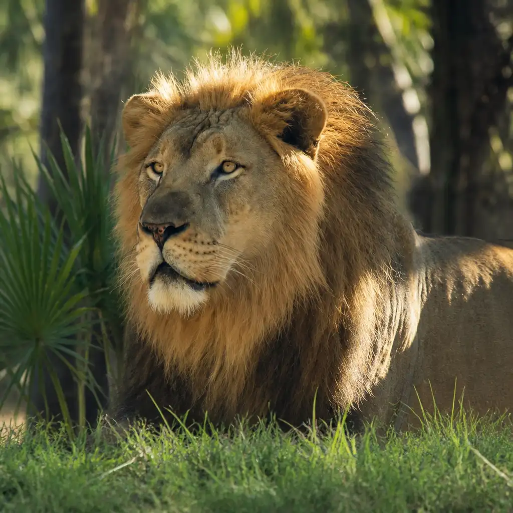 Brevard Zoo: Entry Ticket