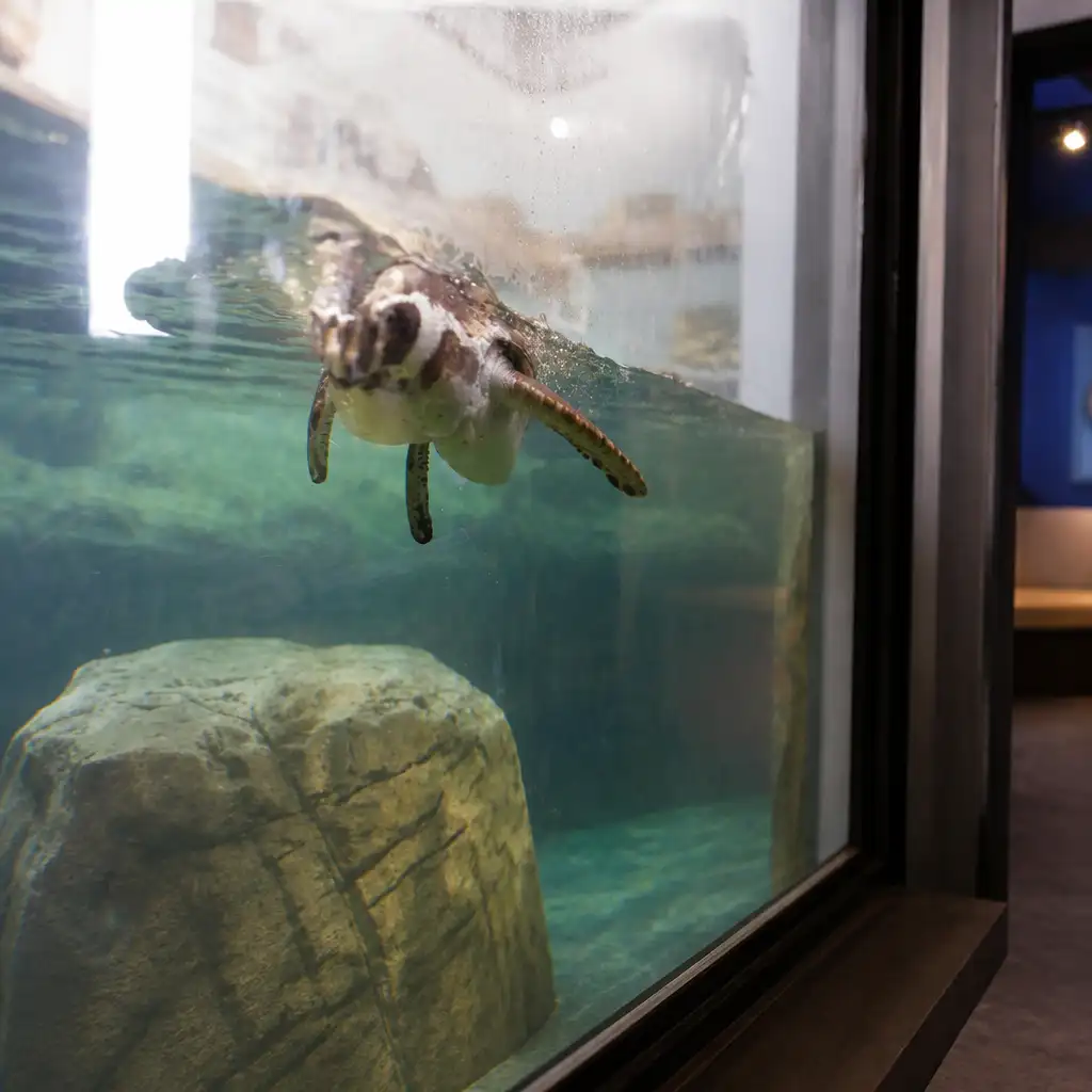 Aquarium of Niagara: Entry Ticket