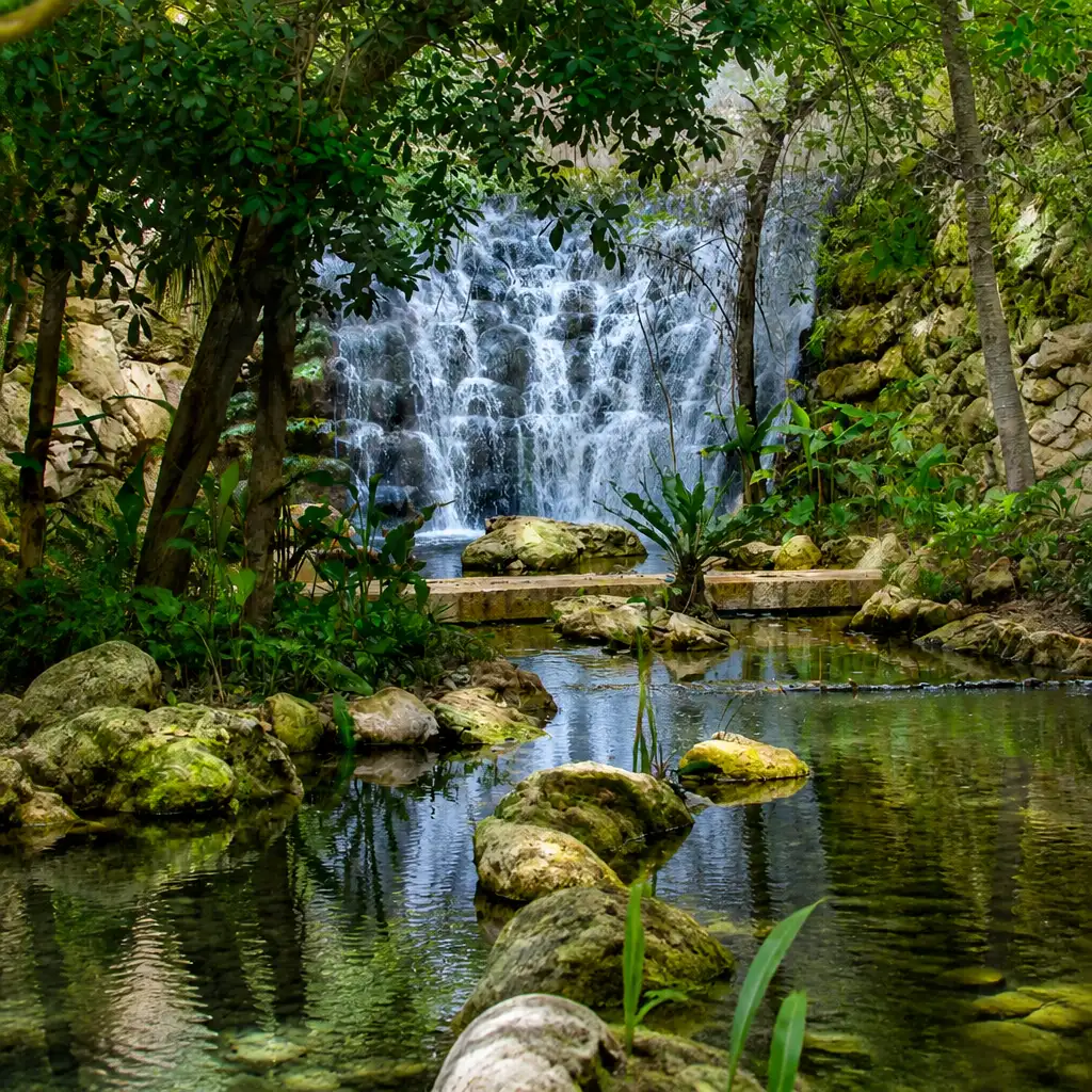 Xcaret Park: Entry Ticket