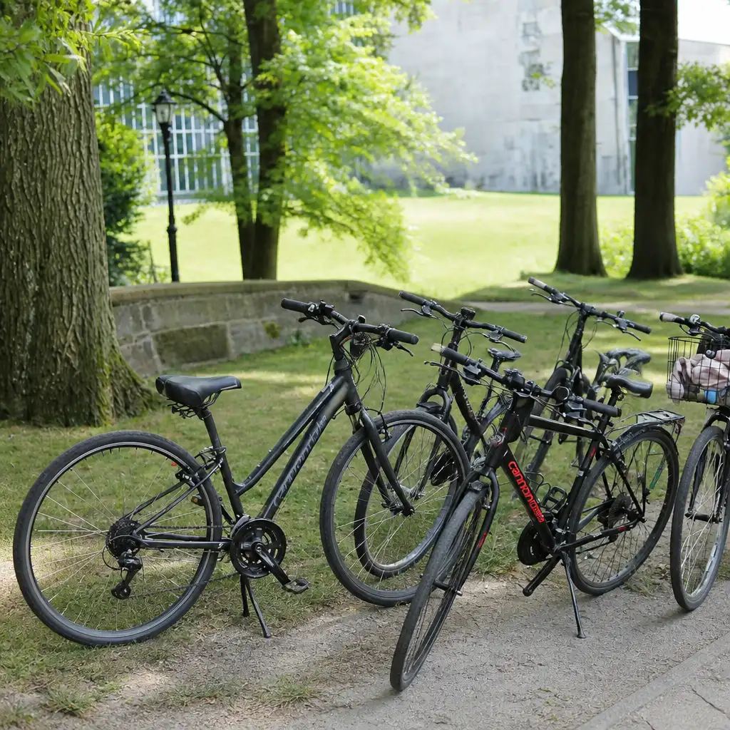Central Park: Bike Tour